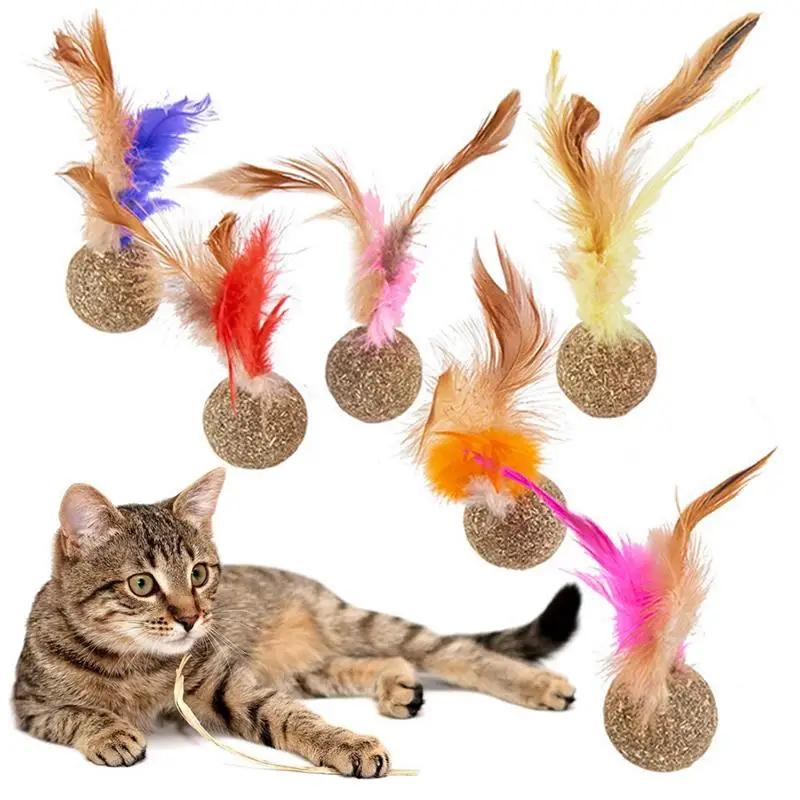 6Pcs/Set Interactive Natural Catnip Stick Bell Ball Mint Ball Catnip Lollipop Cat Accessories Pet Kitten Teeth Grind